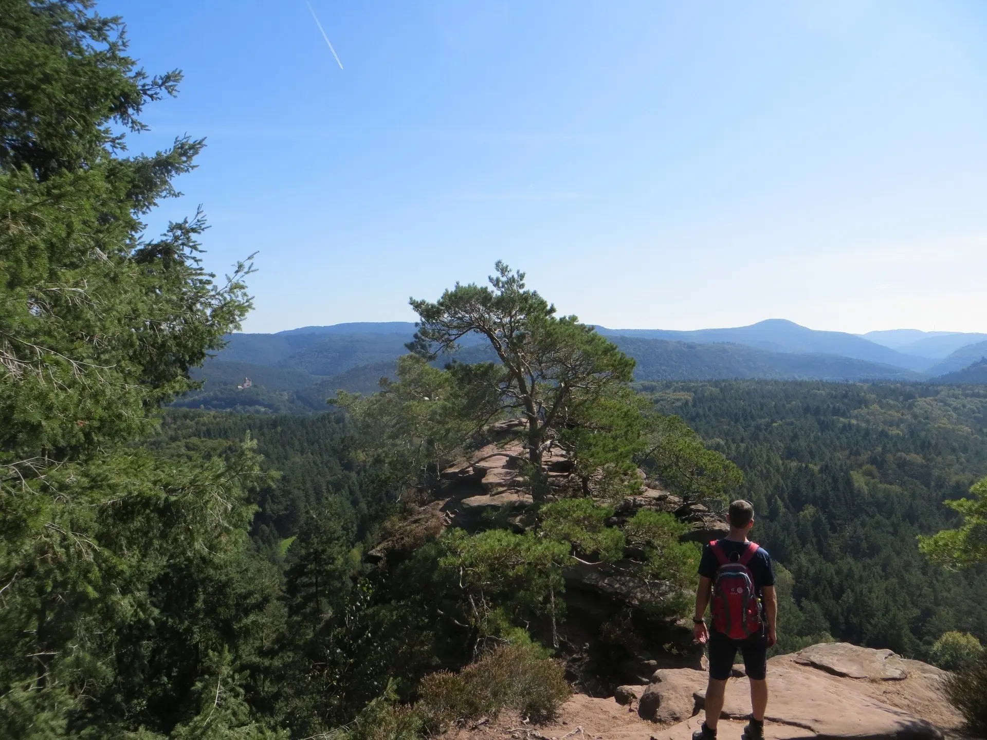 Sportwandern in der Pfalz | © DAV Heidelberg