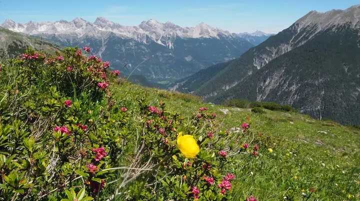 DAV Heidelberg | © DAV Heidelberg