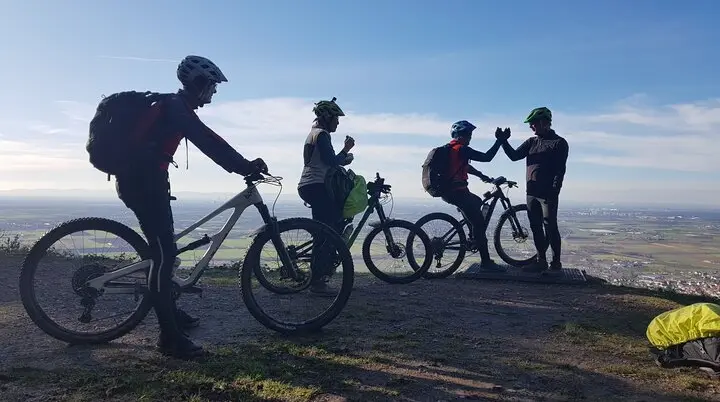 Gruppe über Schriesheim | © DAV Heidelberg / MTB