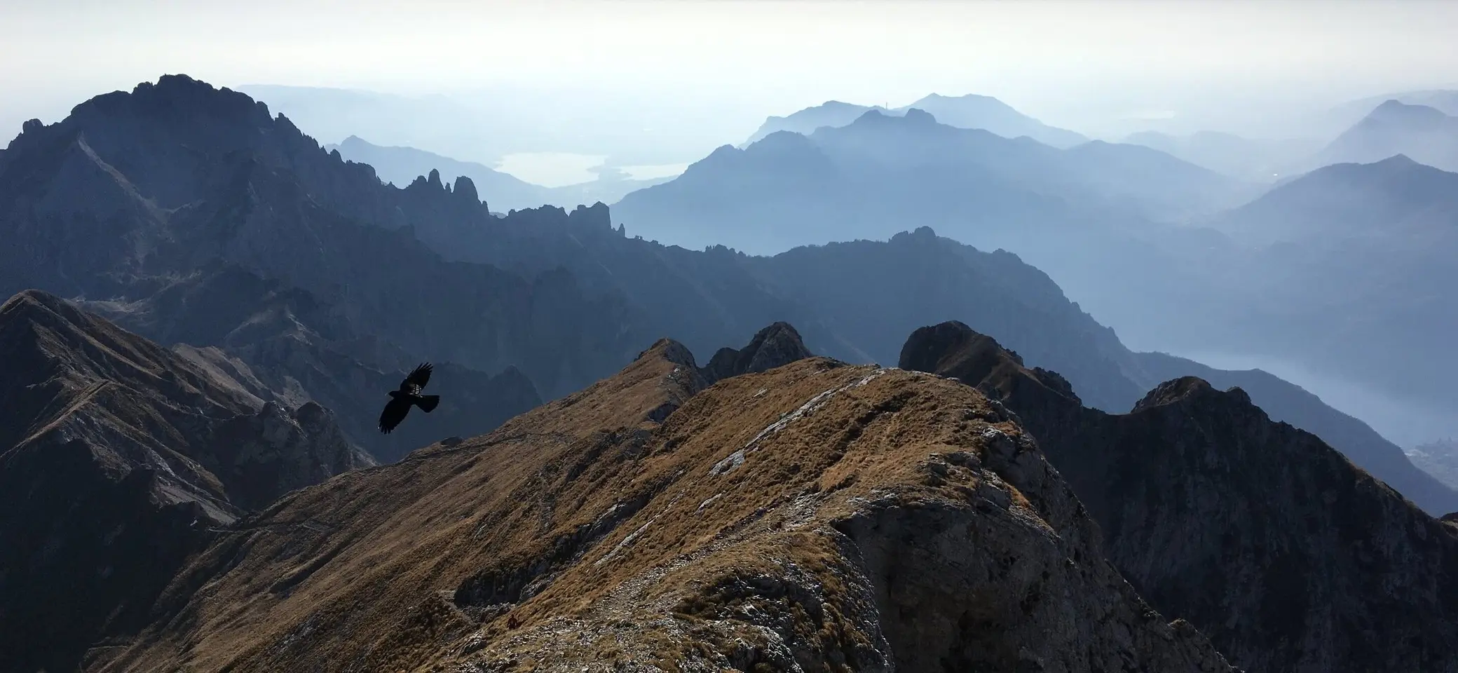 dummy | © DAV Heidelberg/Sport