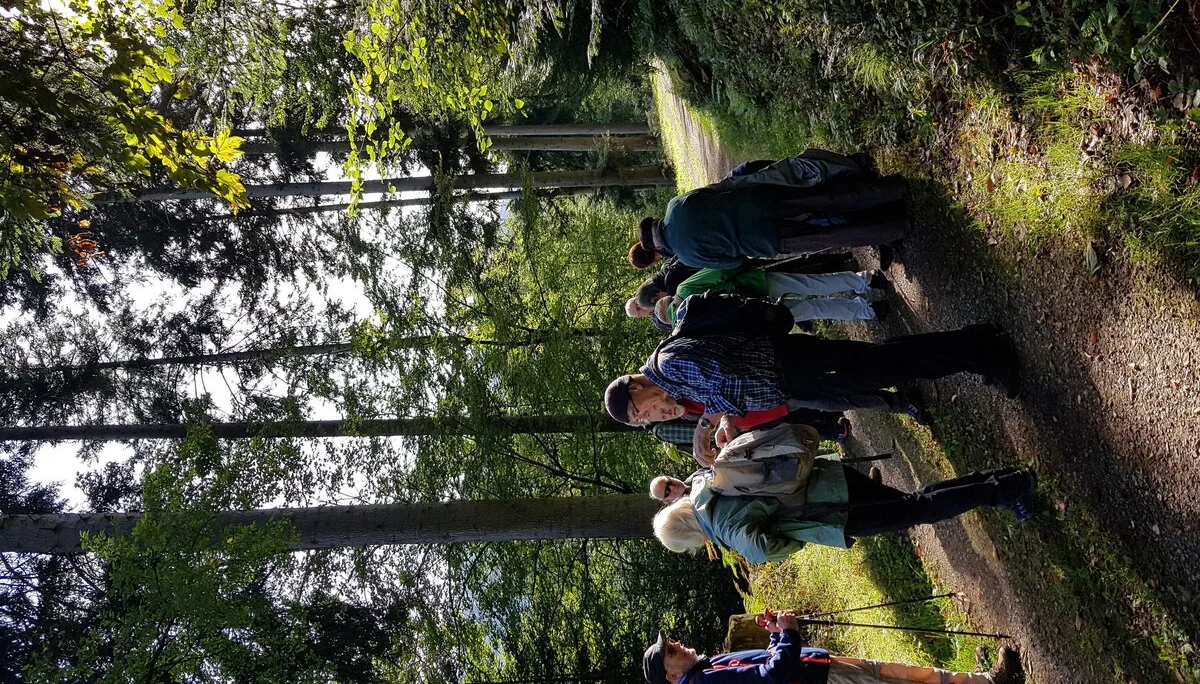 Wanderung | © DAV Heidelberg/Referat Wandern N.N.