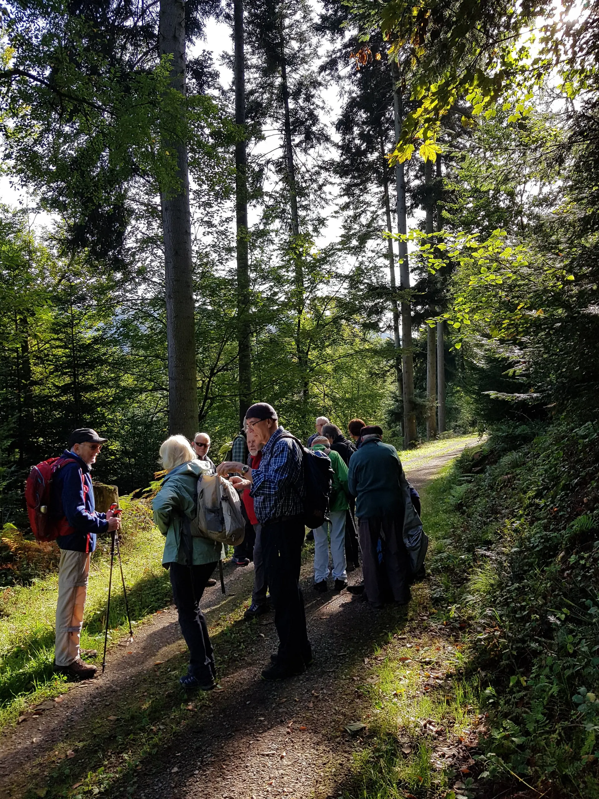 Wanderung | © DAV Heidelberg/Referat Wandern N.N.