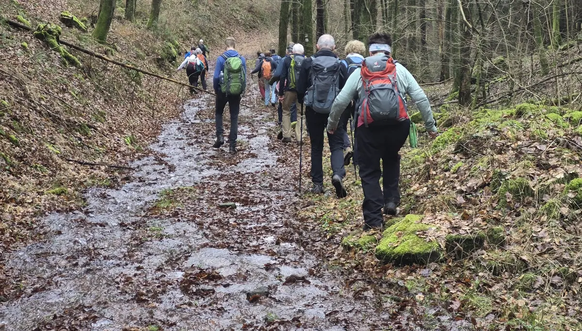 Odenwald | © DAV HD