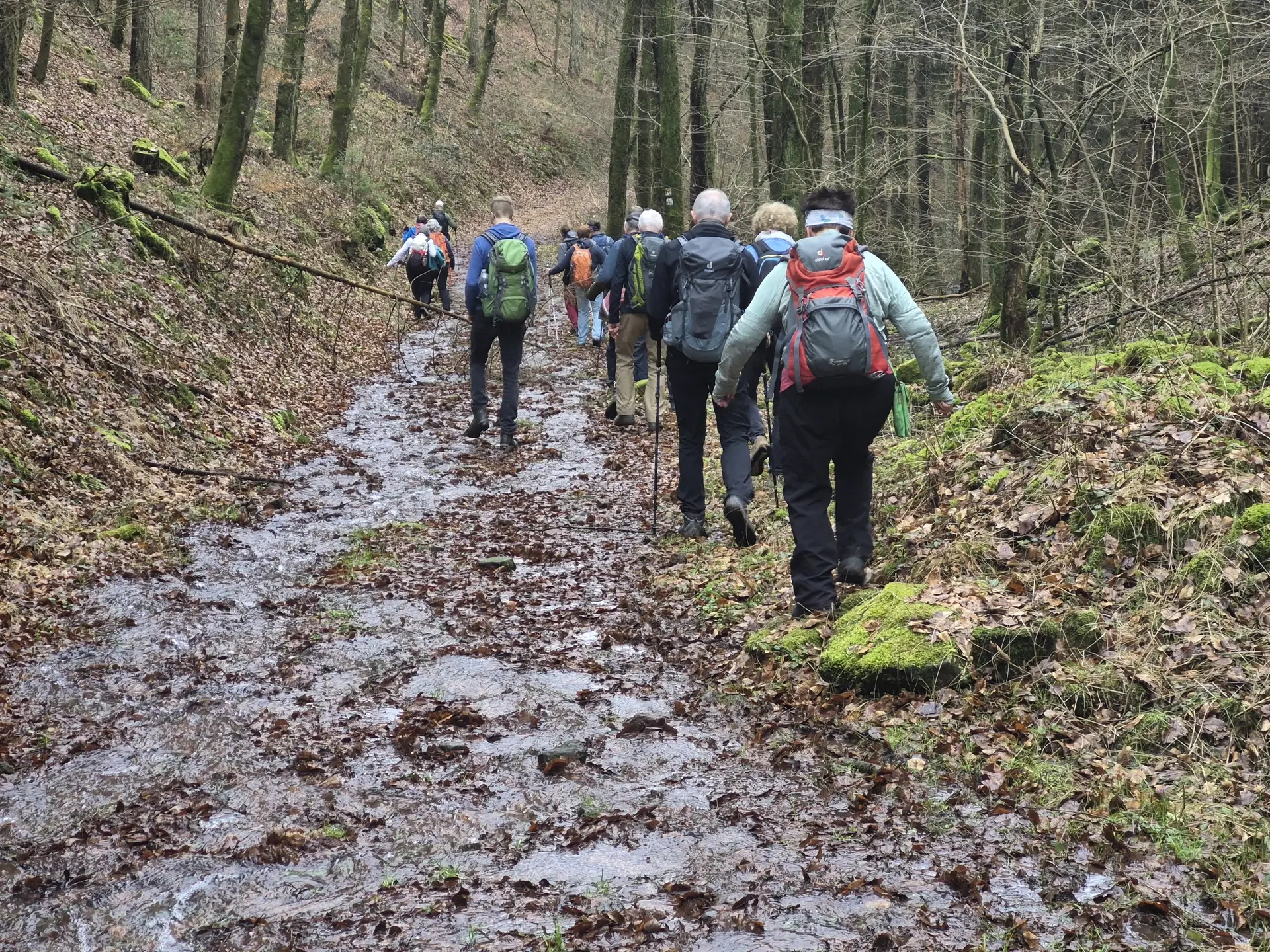 Odenwald | © DAV HD