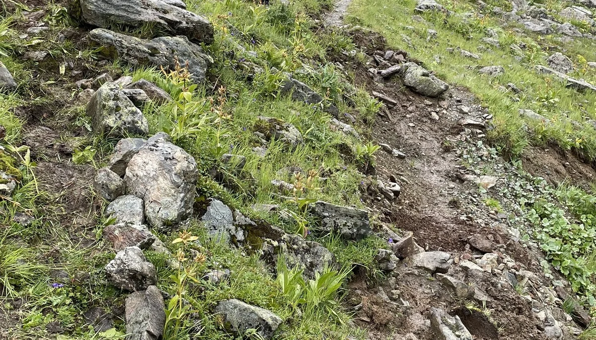 Wegearbeiten im Raum Heidelberger Hütte | © DAV Heidelberg/Jens Haaf 