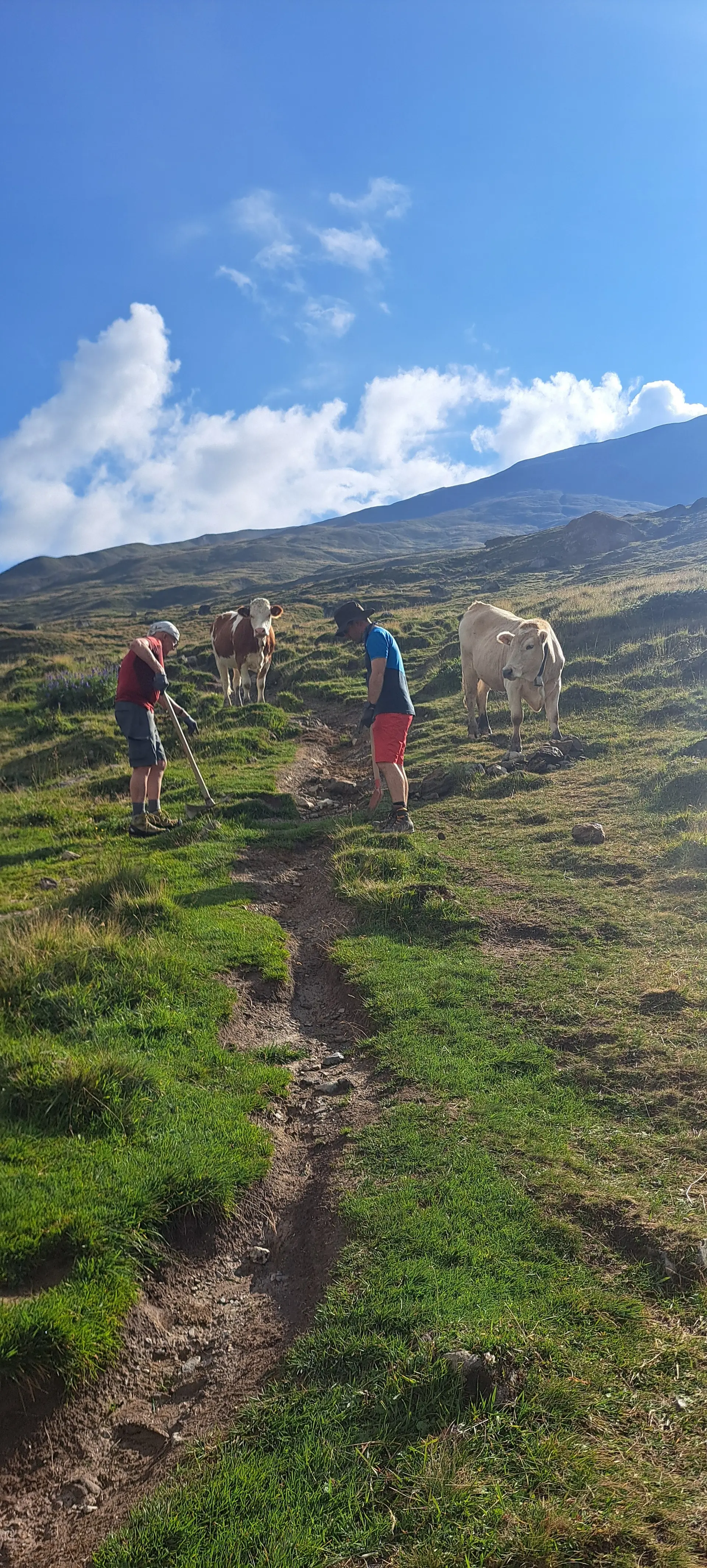 Wegearbeiten im Raum Heidelberger Hütte 2025 | © DAV Heidelberg/Luisa Ueltzhöffer