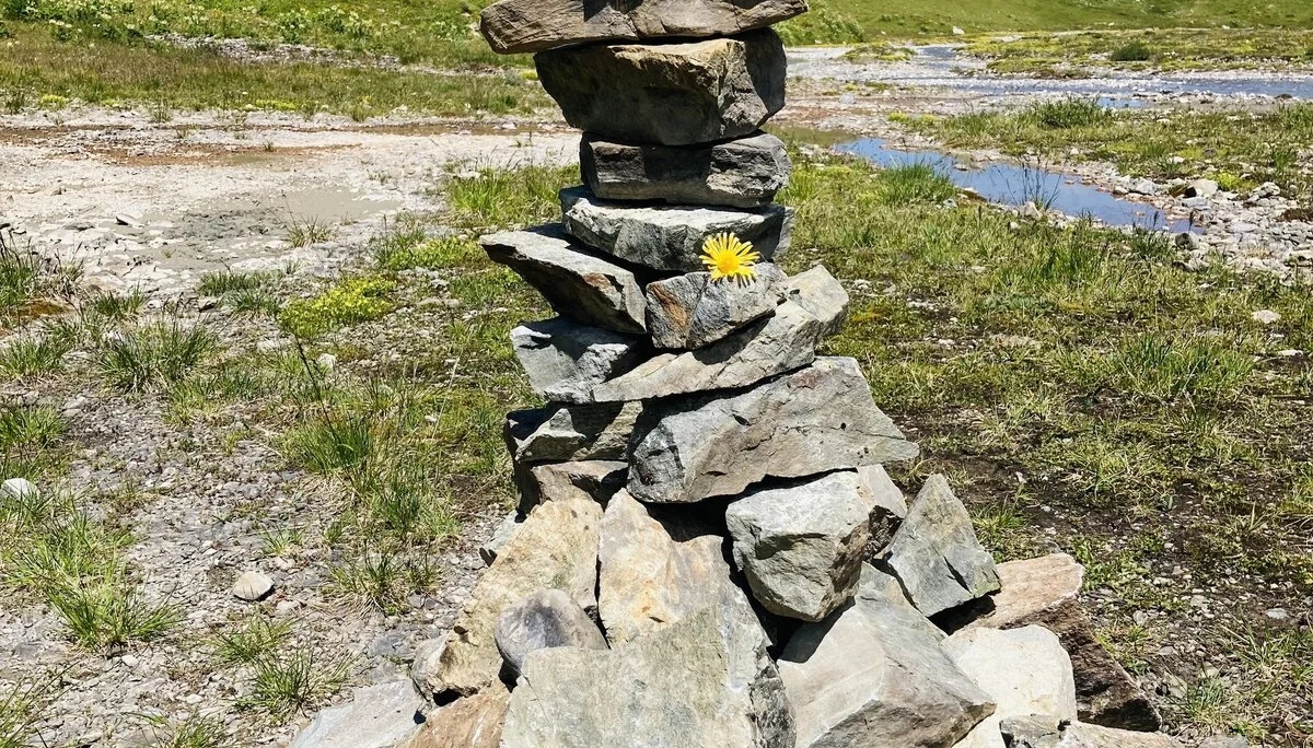 Projektwoche Elisabeth-von-Thadden-Gymnasiums Heidelberg | © DAV Heidelberg/Sabrina Großmann