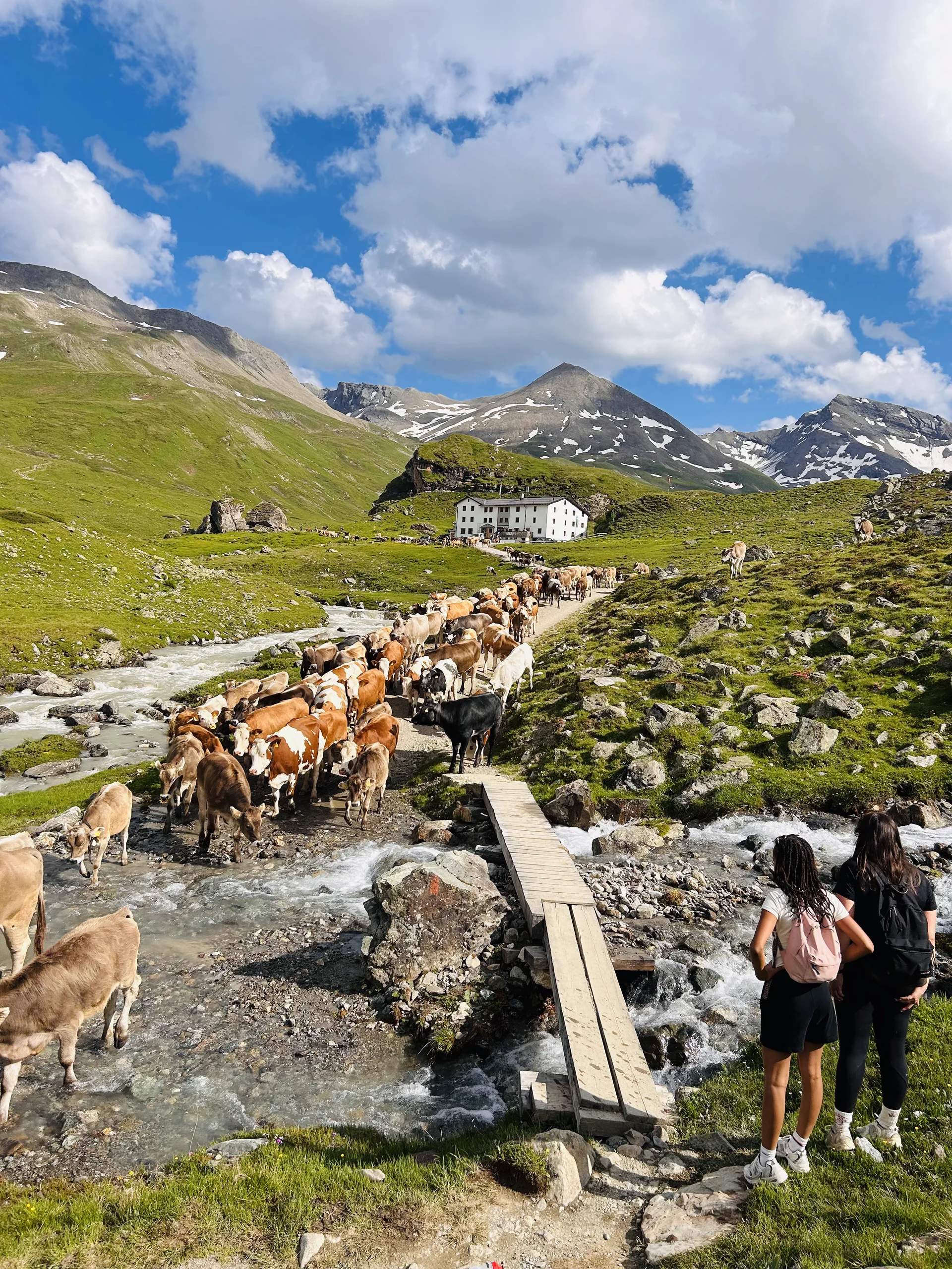 Projektwoche Elisabeth-von-Thadden-Gymnasiums Heidelberg | © DAV Heidelberg/Steffen Schellhammer