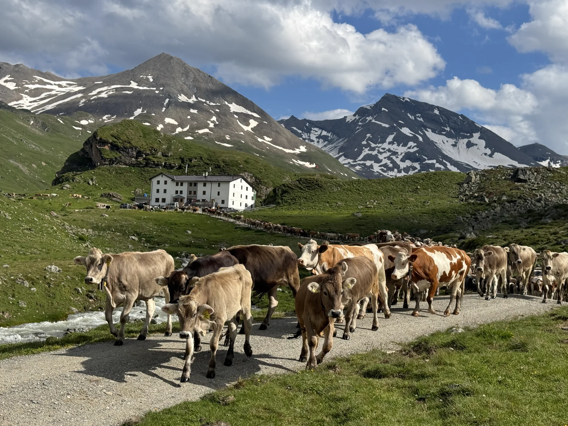 Projektwoche Elisabeth-von-Thadden-Gymnasiums Heidelberg | © DAV Heidelberg/Steffen Schellhammer