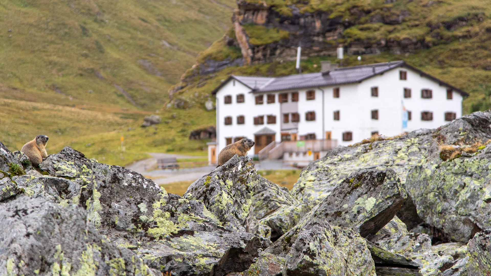 Heidelberger Hütte | © DAV Heidelberg/Kurt Imminger
