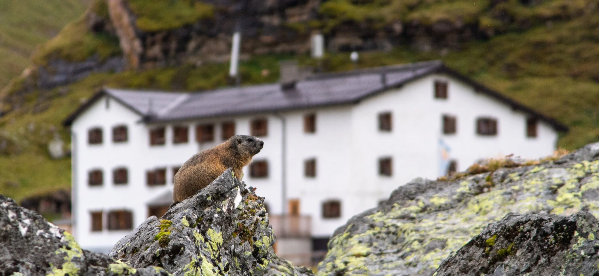 Heidelberger Hütte | © DAV Heidelberg/Kurt Imminger