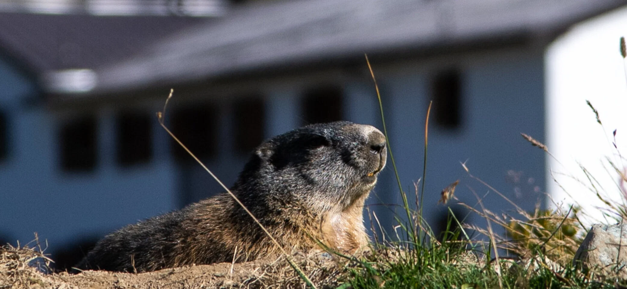 Heidelberger Hütte | © DAV Heidelberg/Kurt Imminger