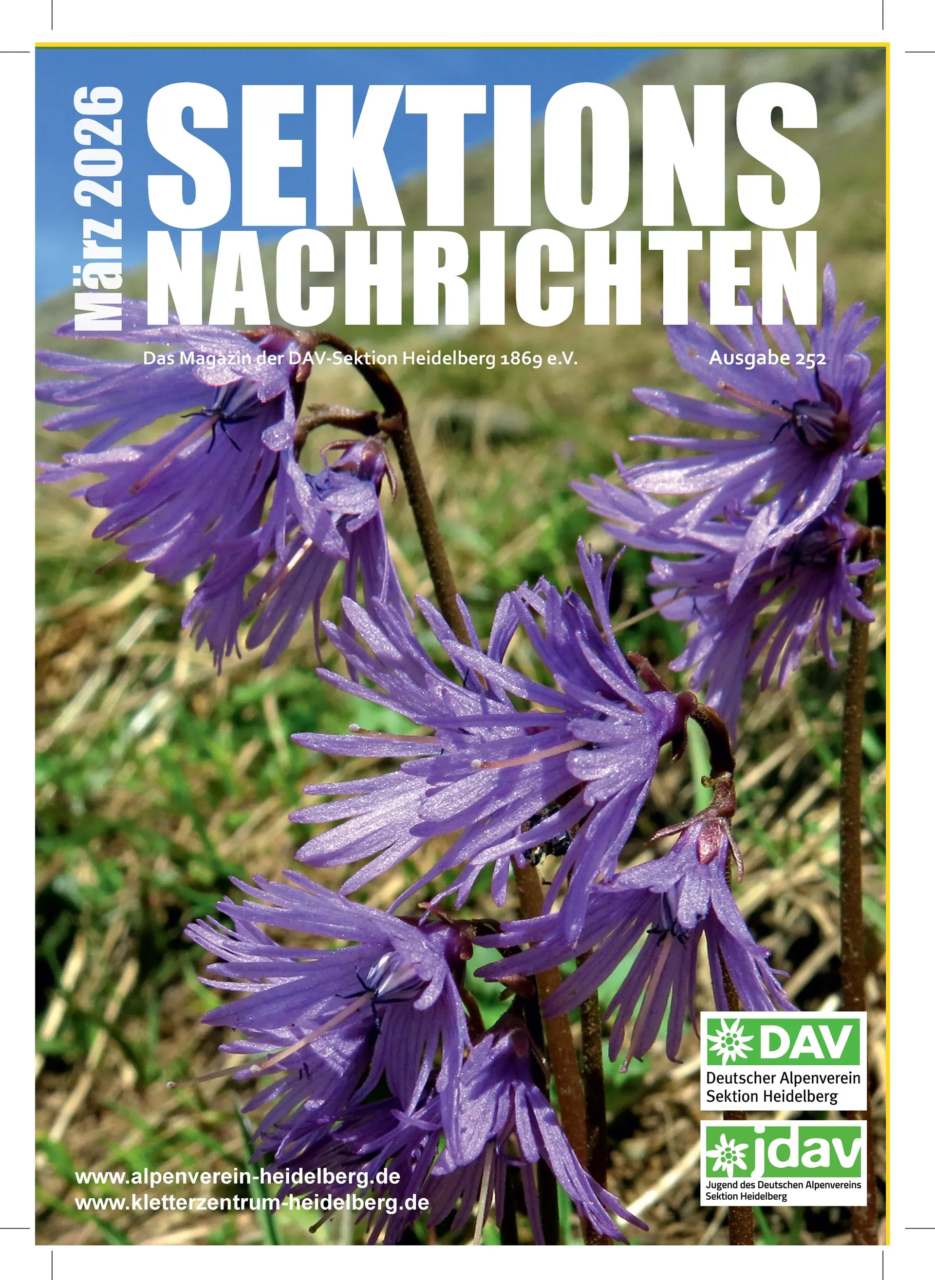SN252 | © DAV HD