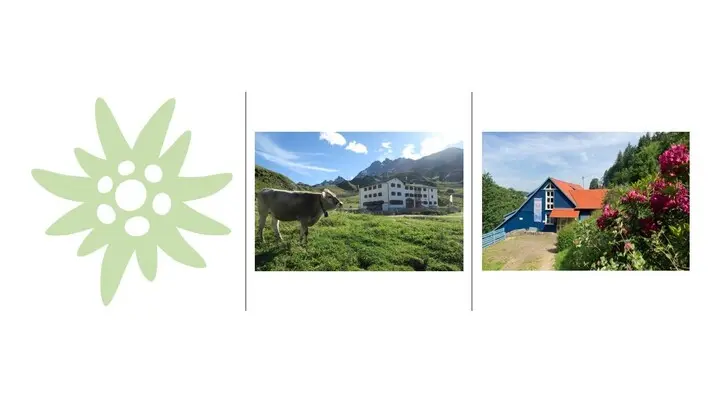 DAV Heidelberg | © Logo, Heidelberger Hütte, Wiedenbachhütte