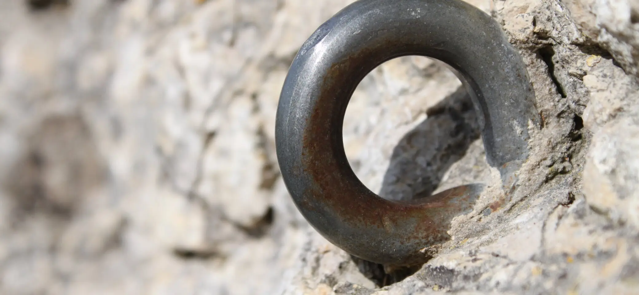 Sicherungsring in den Feld gehauen | © DAV/Steffen Reich